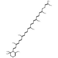 γ-Carotene